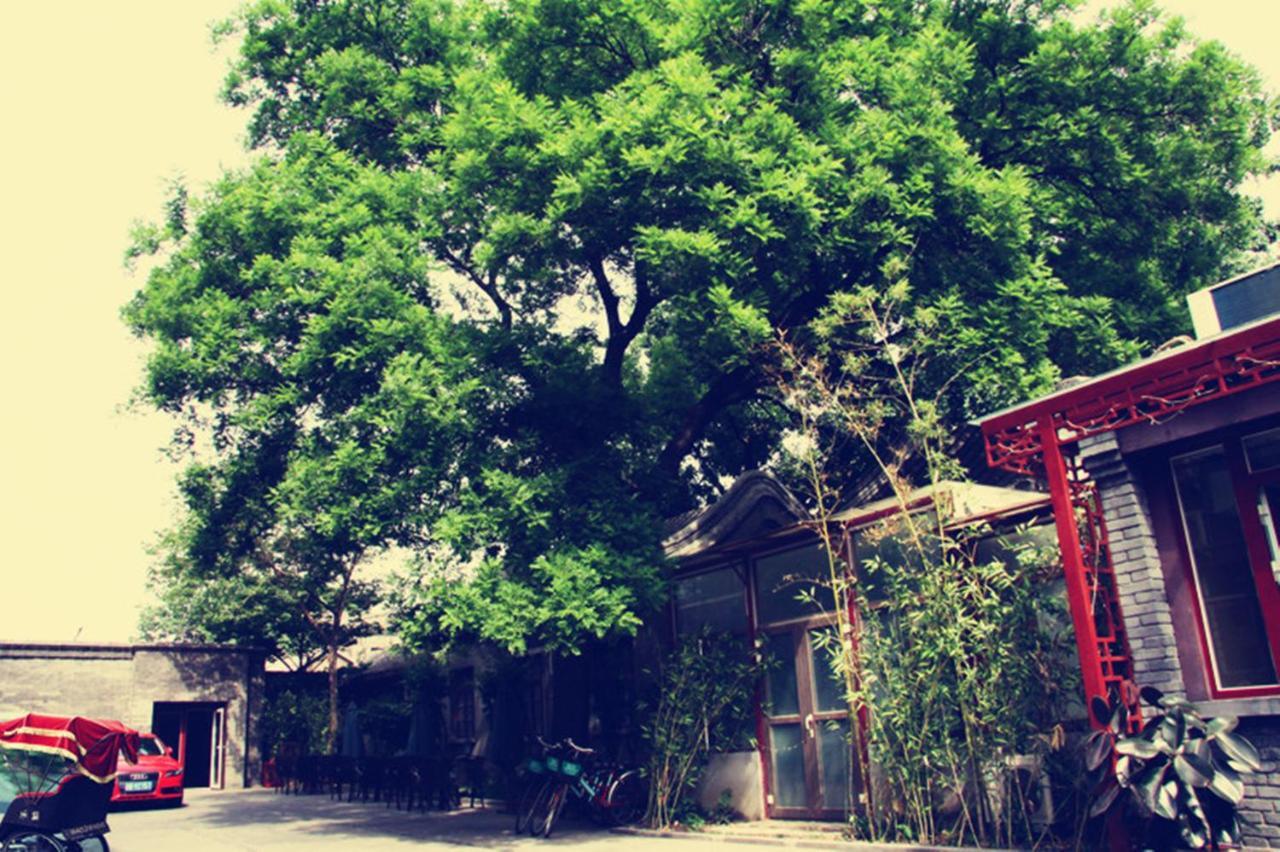 Hotel 66 Beijing Exterior foto